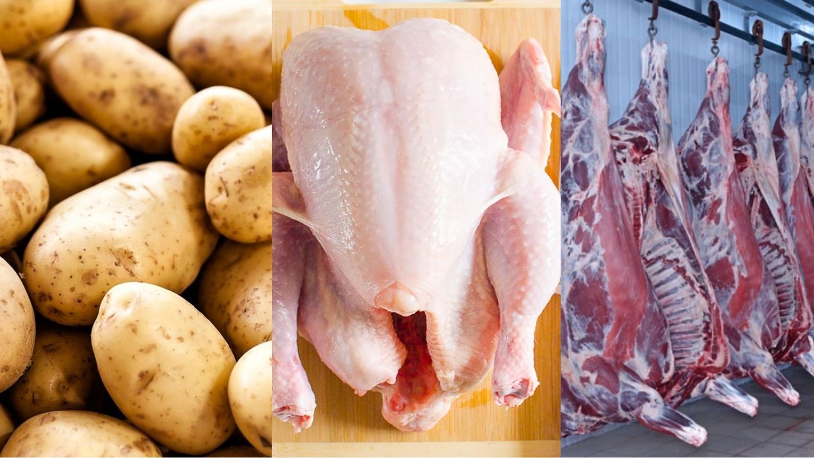 Fresh vs. Processed: Why Choosing Fresh Meat and Grains Matters