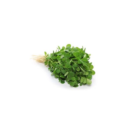 Methi (Fenugreek) Leaves