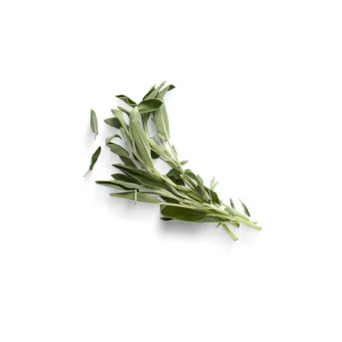 Sage