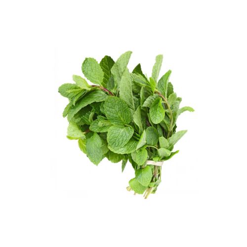 Mint Leaves