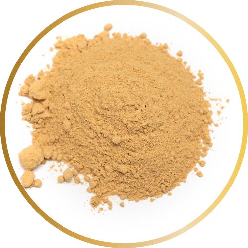 Ginger Powder