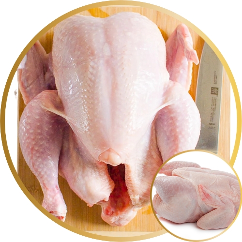 Whole Broiler Chicken